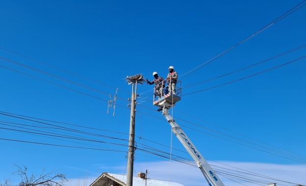 Общо над 2800 гнезда са обезопасени от 2009 година Със