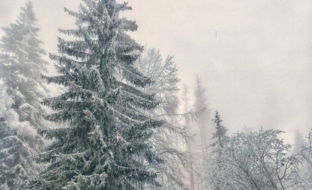 Времето в планините е облачно и много студено туристите трябва