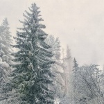 Планинската спасителна служба предупреждава за тежки условия в планините