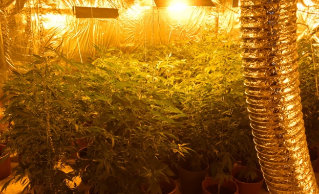 Иззети са голямо количество канабис и таблетки екстази задържани са