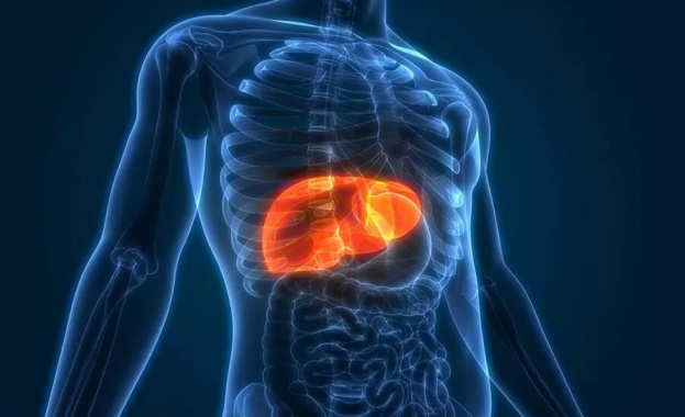 Натрупването на органични флуорни съединения може да доведе до рак на черния дроб