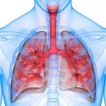  5 май - световен ден за борба с астмата