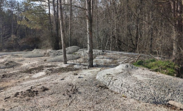 Абсурдните кадри са от района на Търговище Бетонирани гора и