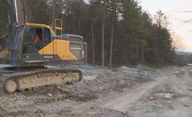 Бетонираха крайпътни дървета край част от новострояща се пътна отсечка