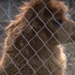 Зоопаркът в Хасково планира да отвори класна стая на открито