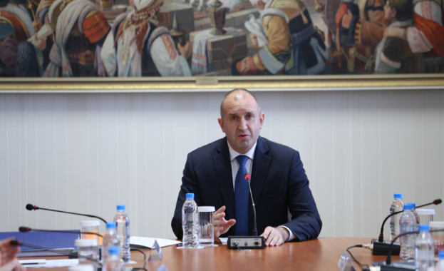 Камелия Нейкова е новият председател на ЦИК по предложение на ИТН