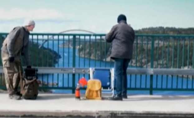 Вече повече от година шведски близнаци са разделени заради Ковид