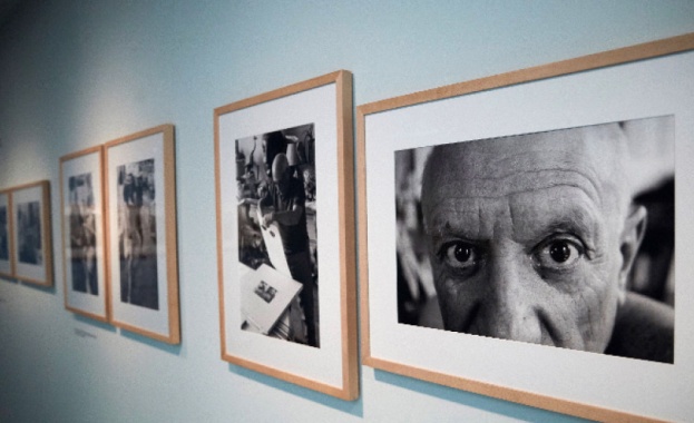 Картина на Пабло Пикасо беше продадена на търг в Ню