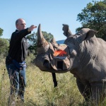  Учени ще спасяват носорози с ядрени технологии 