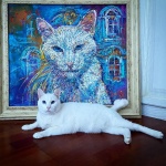 Котаракът Ахил ще предсказва мачовете от Евро 2021