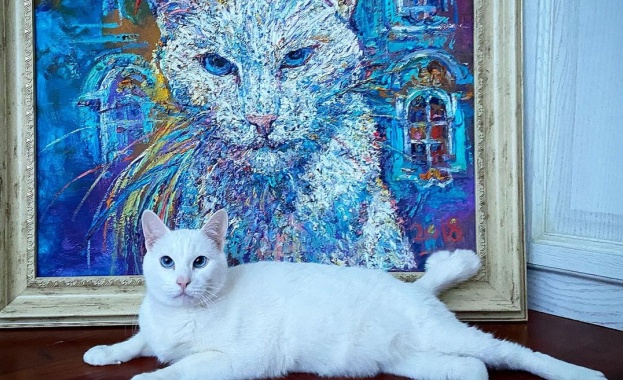 Ермитнажният котарак Ахил който се прочу със способностите си на