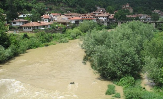 Изхвърлените свине в коритото на река Янтра край търновското село