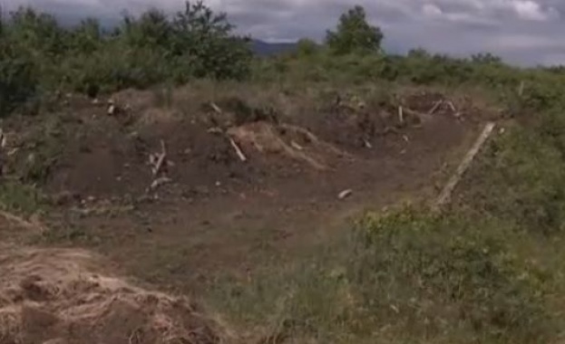 Десетки незаконно загробени животни откриха в землището на пловдивското село