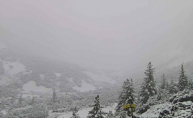 Температурата е точно 1 градуса а снимката е от уебкамера