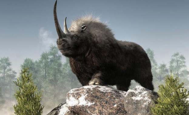 Нов вид гигантски древен носорог един от най големите бозайници обитавали