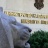 МВР се събира на национално съвещание за контрола по пътищата