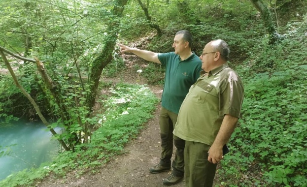 Безкомпромисни сме към нарушителите в българските гори