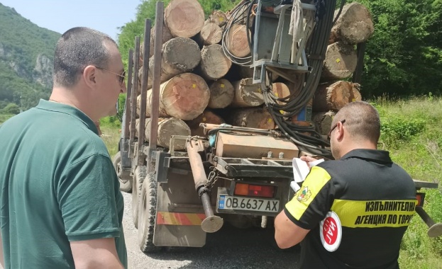 19 акта за административни нарушения съставиха горски служители през почивните