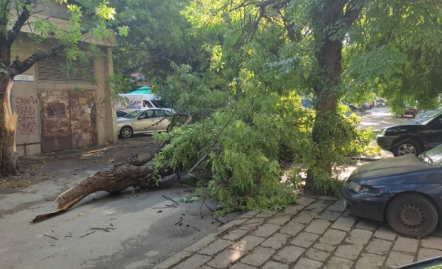 Силна буря връхлетя Пловдив към 20 часа снощи Близо половин