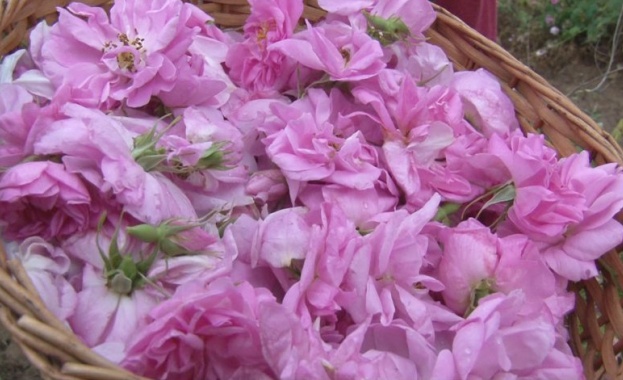 Европейската комисия одобри българска схема в размер на 1 5 милион