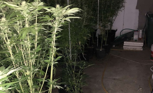 Под ръководството на Териториално отделение Сандански при Районна прокуратура