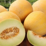 Седемнадесето издание на празника на пъпеша се провежда в каварненското село Българево