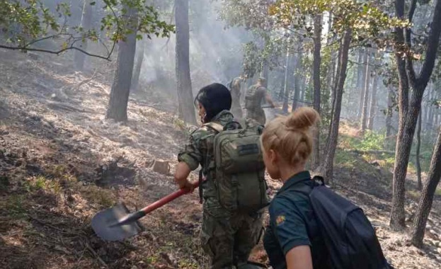 Военнослужещи и хеликоптер оказаха помощ за локализирането на пожара край Твърдица