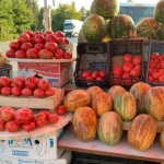 Краен срок за подаване на документи за съфинансиране на застраховки на продукция от земеделците 