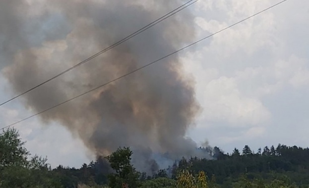 Голям пожар в боров масив над с Виден община Павел