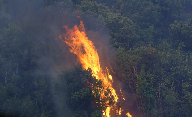 Пожар бушува до газопровода край Благоевград съобщиха местните медии По