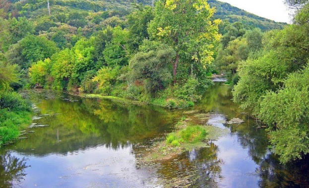 Мъртва риба изплува на брега на река Янтра под емблематичния