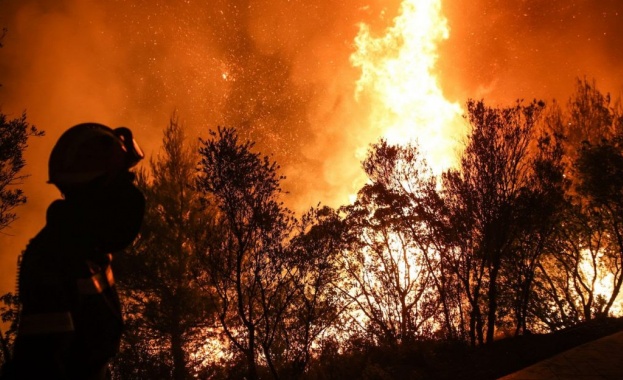 Огромният пожар в Атина продължава, изгоряха 80 къщи