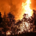 Еколози се опасяват от рекордните мащаби на пожарите в Русия