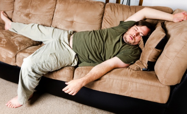 Днес е Международният ден на мързела Говори се че той