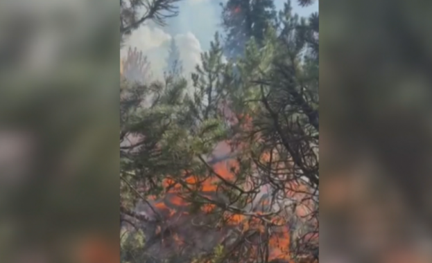 Пожарникари и доброволци се събират тази сутрин за да гасят