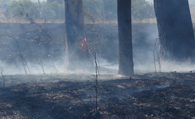 Разраства се пожарът над село Югово в Родопите. Снощи той