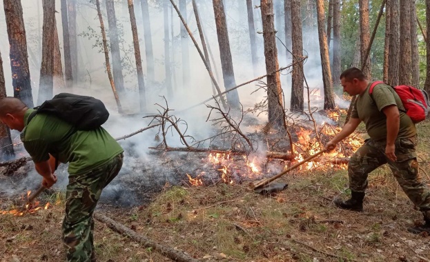 Продължава борбата с огъня в Родопите Пожарът е високо в