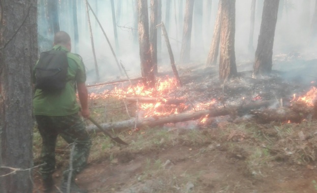 Кметът на Асеновград доктор Христо Грудев поддържа постоянен контакт с