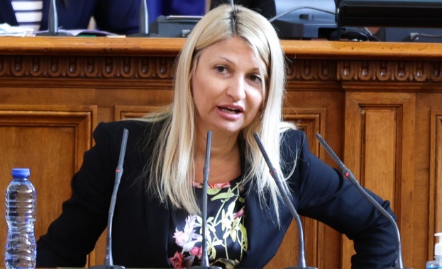 Двама бивши енергийни министри обвиниха в лобизъм депутатка от ИТН, тя отрече