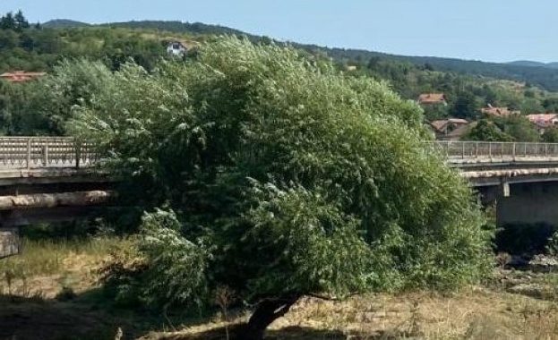 От днес започва ремонтът на моста над река Искър в