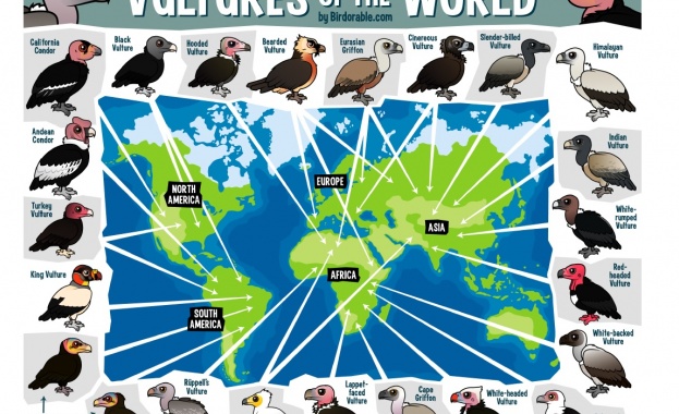 Всяка година първата събота на септември е посветена на птици