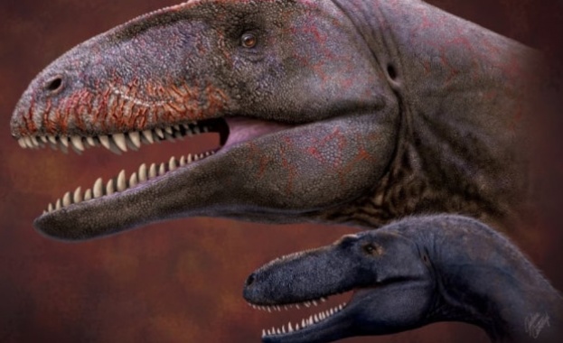 Палеонтолози от Япония са описали останки на царя на динозаврите