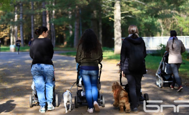 В конкурса Зелена столица на Европа за 2023 г София