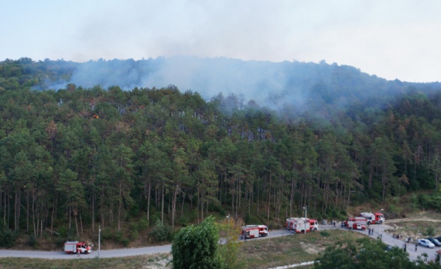 Пожар е възникнал в гората над улица Моряшка в квартал