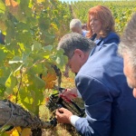 Министър Бозуков: С 20 % по-висок добив от грозде очакваме тази година 