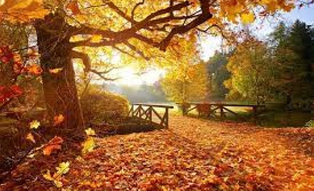 През нощта и сутринта отново на много места в равнинната