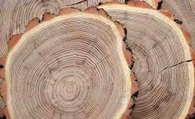 Общият размер на приходите от проведените електронни търгове за продажба