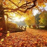 Предстоящи събития в страната на 23 ноември 2022 г.