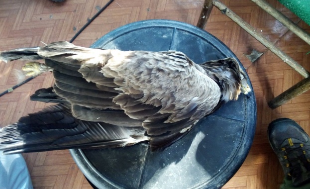 При съвместна акция на представители на ОД на МВР Разград