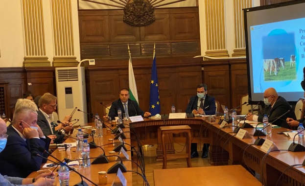 Необходимо е унифицирано прилагане на стандартите за хуманно отношение в